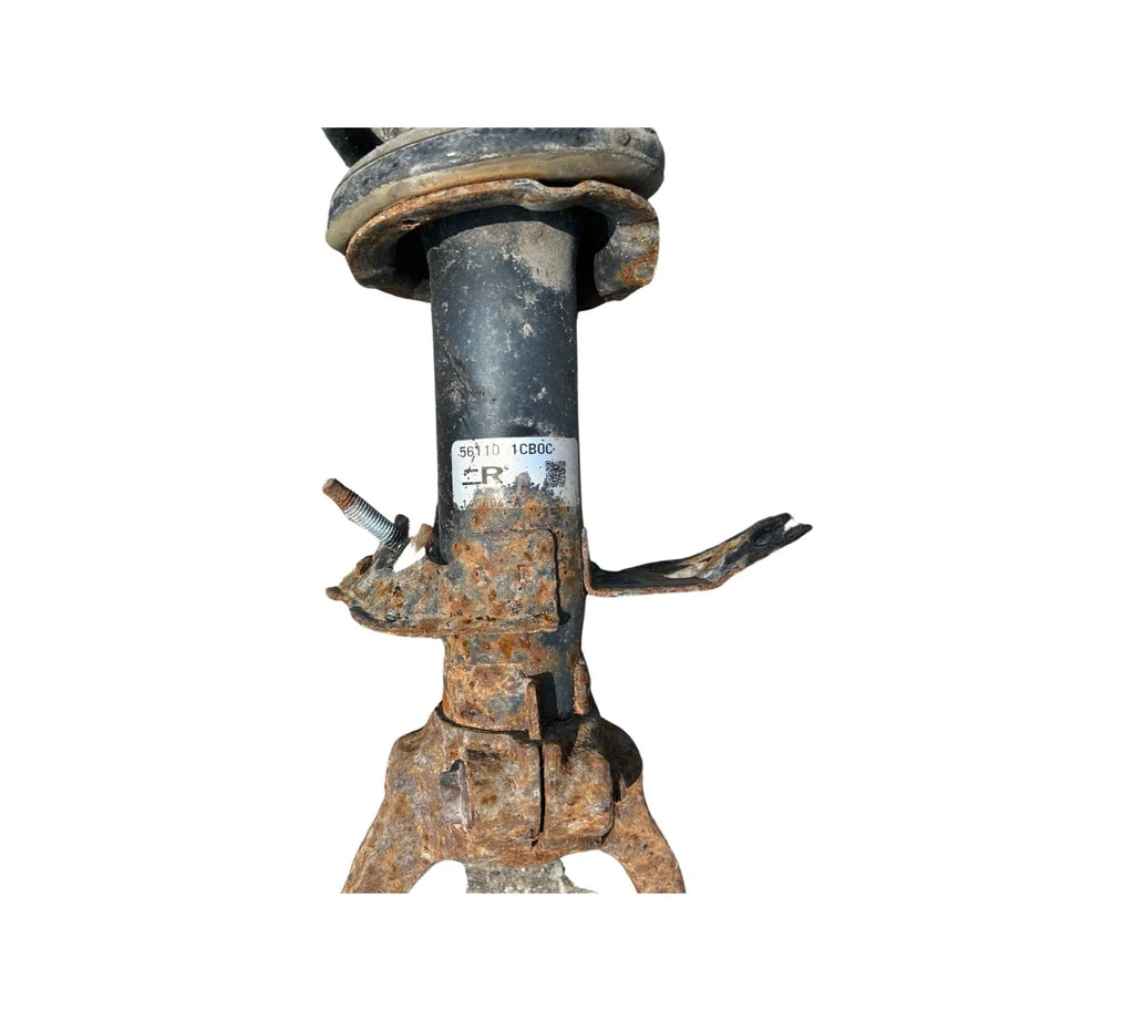 Infiniti FX35|FX50|QX70 Front Right Shock Absorber Strut (56110-1CB0C) INFINITI