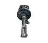 Infiniti JX35 (2013)|QX60 (2014-2020) Front Left Shock Absorber Strut INFINITI