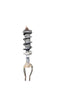 Infiniti Q50 (2014-2022) Front Shock Absorber Strut (56110-6HL0B) INFINITI