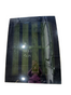 2019–2025 Infiniti QX50 OEM Rear Panoramic Sunroof Glass – 91604-5NA0A